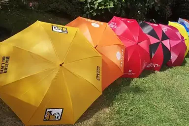 Parapluies personnalisés pour Maison du Livre, Privat, Martin-Delbert, Point-Virgule et d'autres librairies