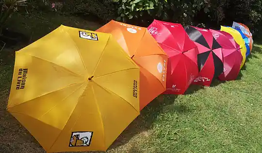Parapluies personnalisés pour des librairies Parapluies personnalisés pour Maison du Livre, Privat, Martin-Delbert, Point-Virgule et d'autres librairies
