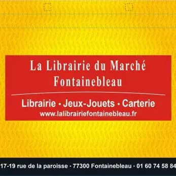 Sac cabas non tissé personnalisé 44 × 35 × 17 cm pour librairie (BAT)